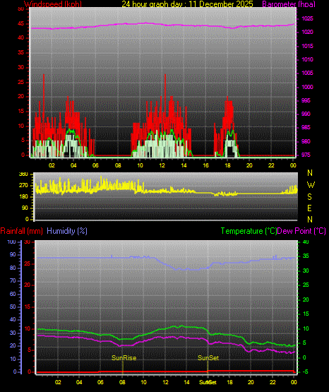 24 Hour Graph for Day 11