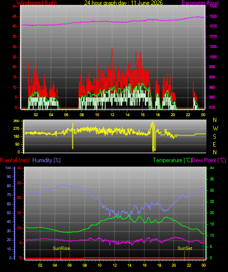 24 Hour Graph for Day 11